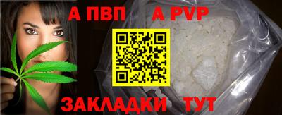 тгк Бийск