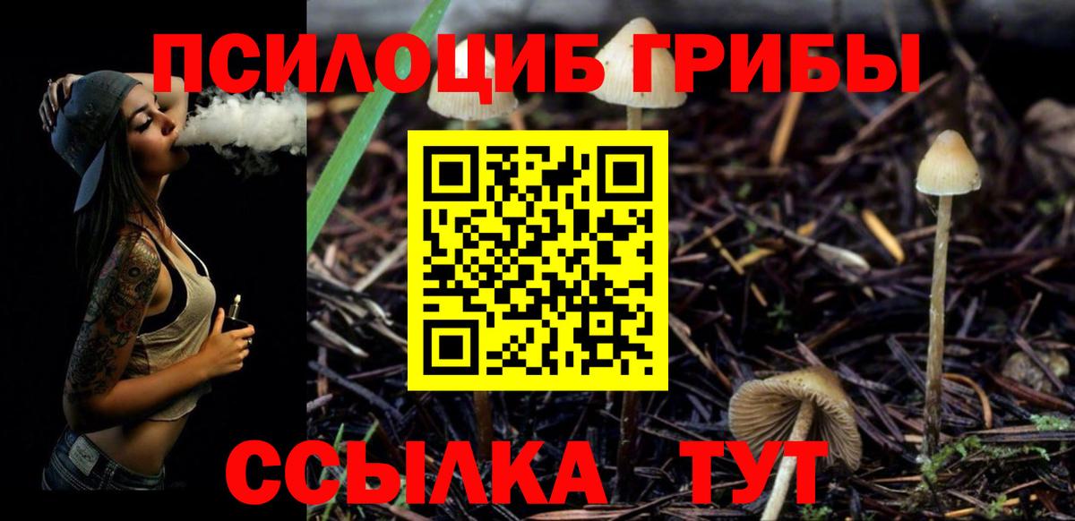 Галлюциногенные грибы Cubensis Кольчугино